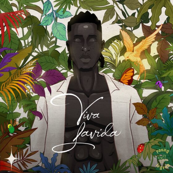 Joeboy – Viva Lavida